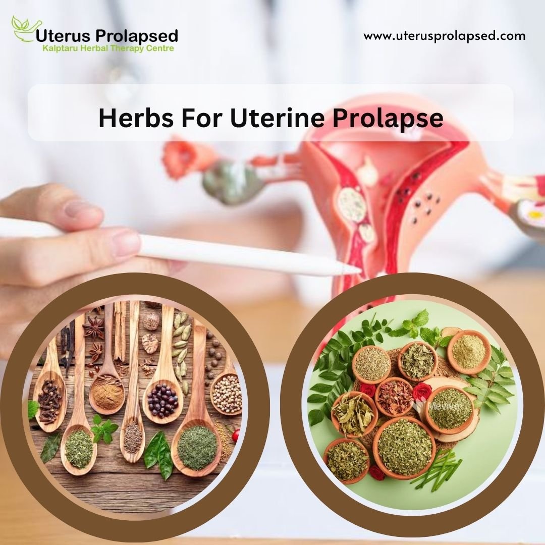 Herbs For Uterine Prolapse.jpg