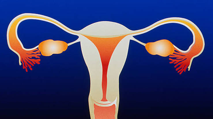 How Do You Know If Your Uterus Is Falling