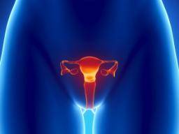 What Happens If you’re Uterus Falls Out?