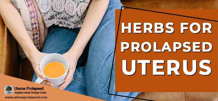 herbs for prolapsed uterus