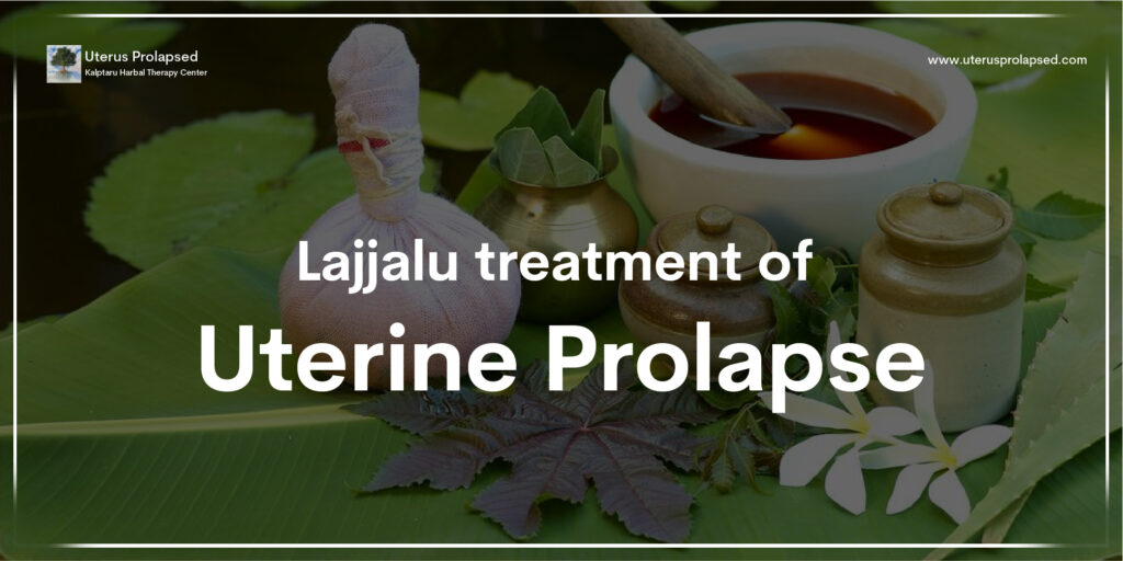 Lajjalu Treatment Of Uterine Prolapse