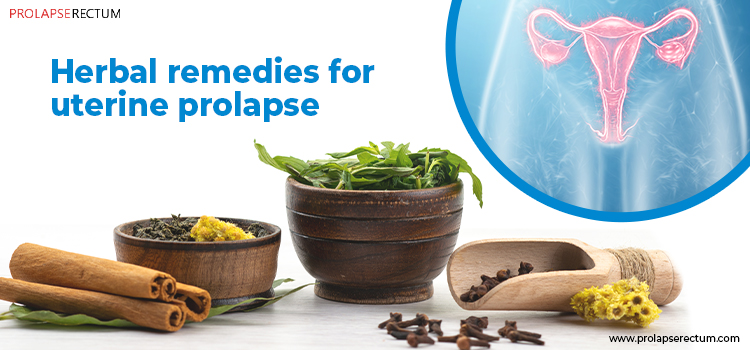 Herbal Remedies For Uterine Prolapse