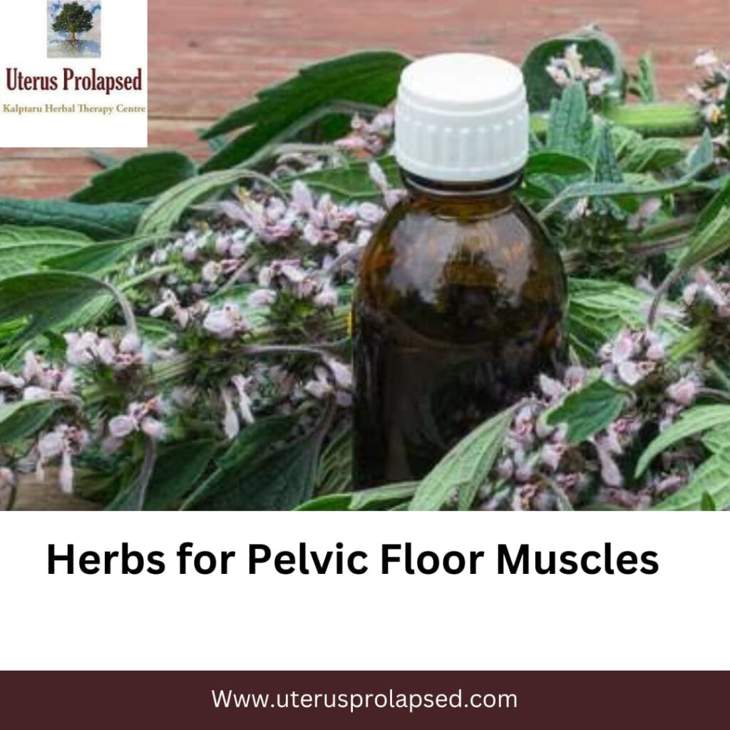 Herbs For Pelvic Floor Muscles